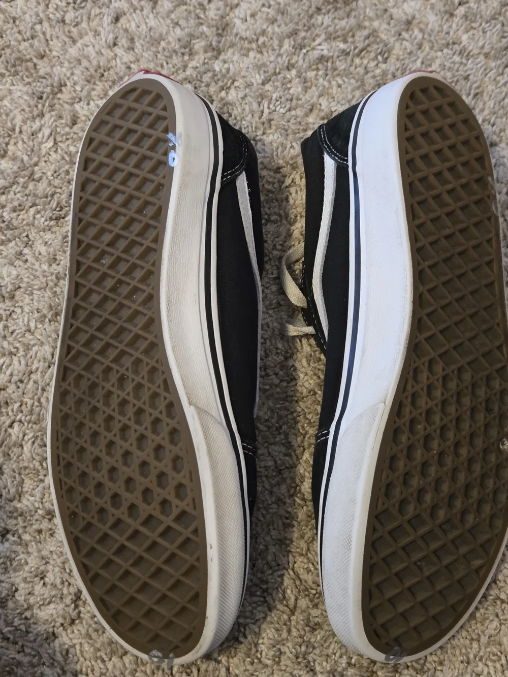 Vans iconic old